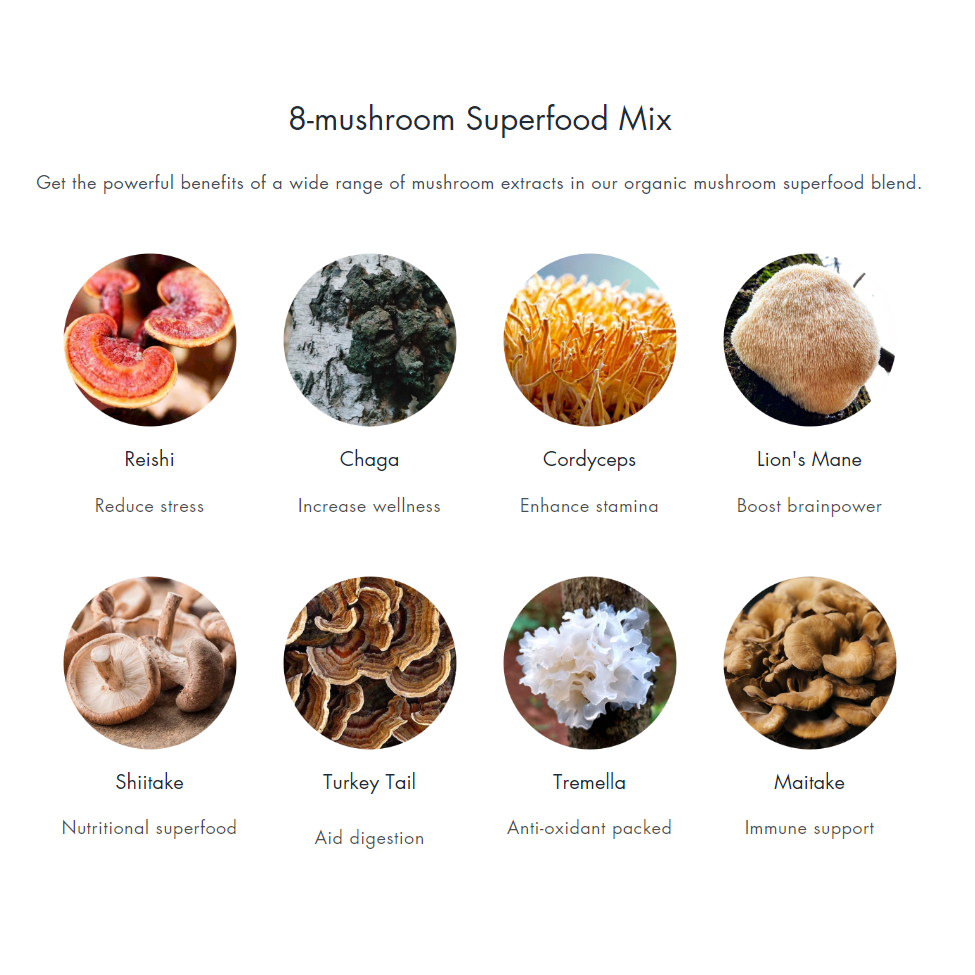 Mushroom Superfood Powder Mix 3.5 oz.