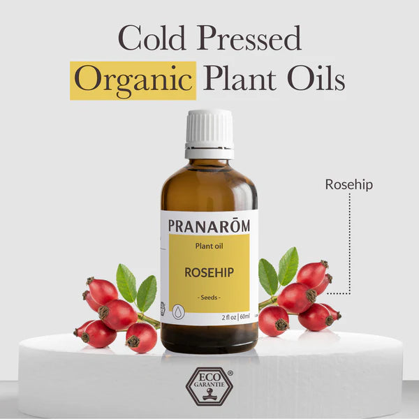 Rosehip Seed Carrier Oil 2 fl.oz