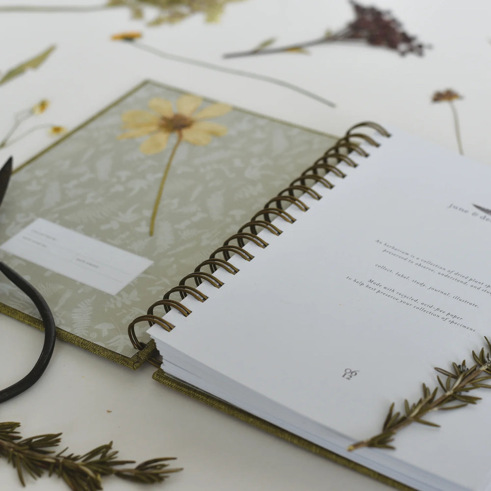 Herbarium Journal / Fern