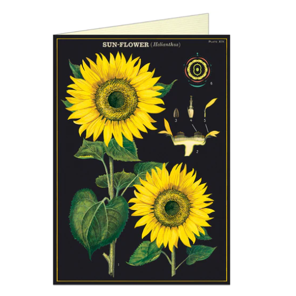 Card Sunflower