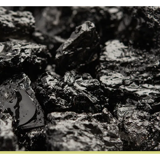 
                  
                    Shilajit tablets
                  
                