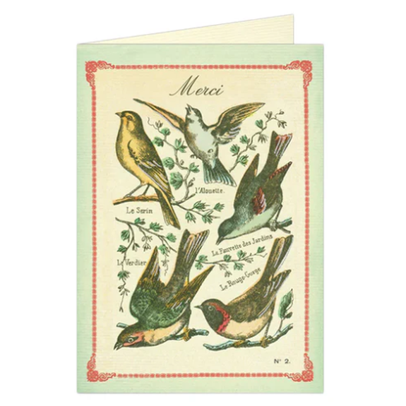 Card Birds - Merci