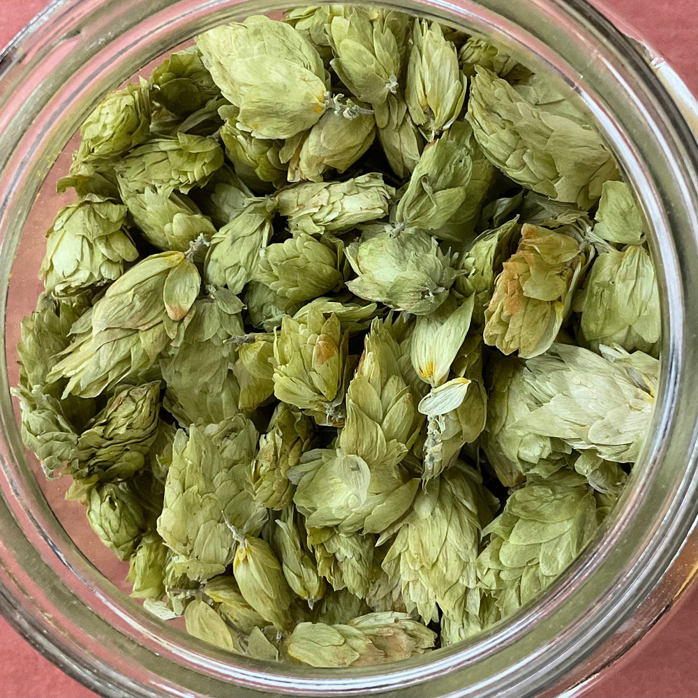 Hops Flower Whole Organic 1oz