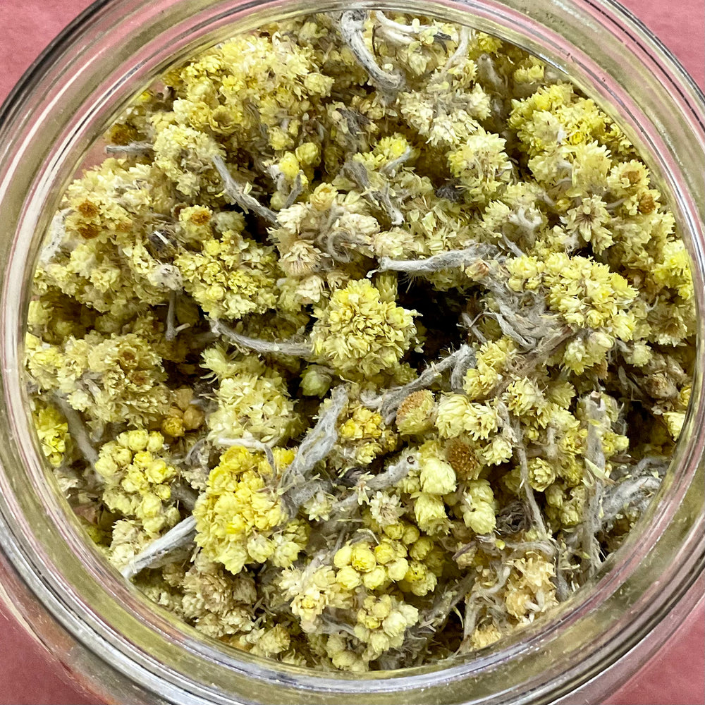 Helichrysum Flowers Whole Organic 1oz