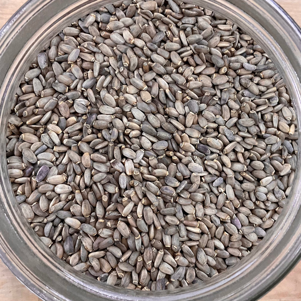 Milk Thistle Seed Organic 1oz