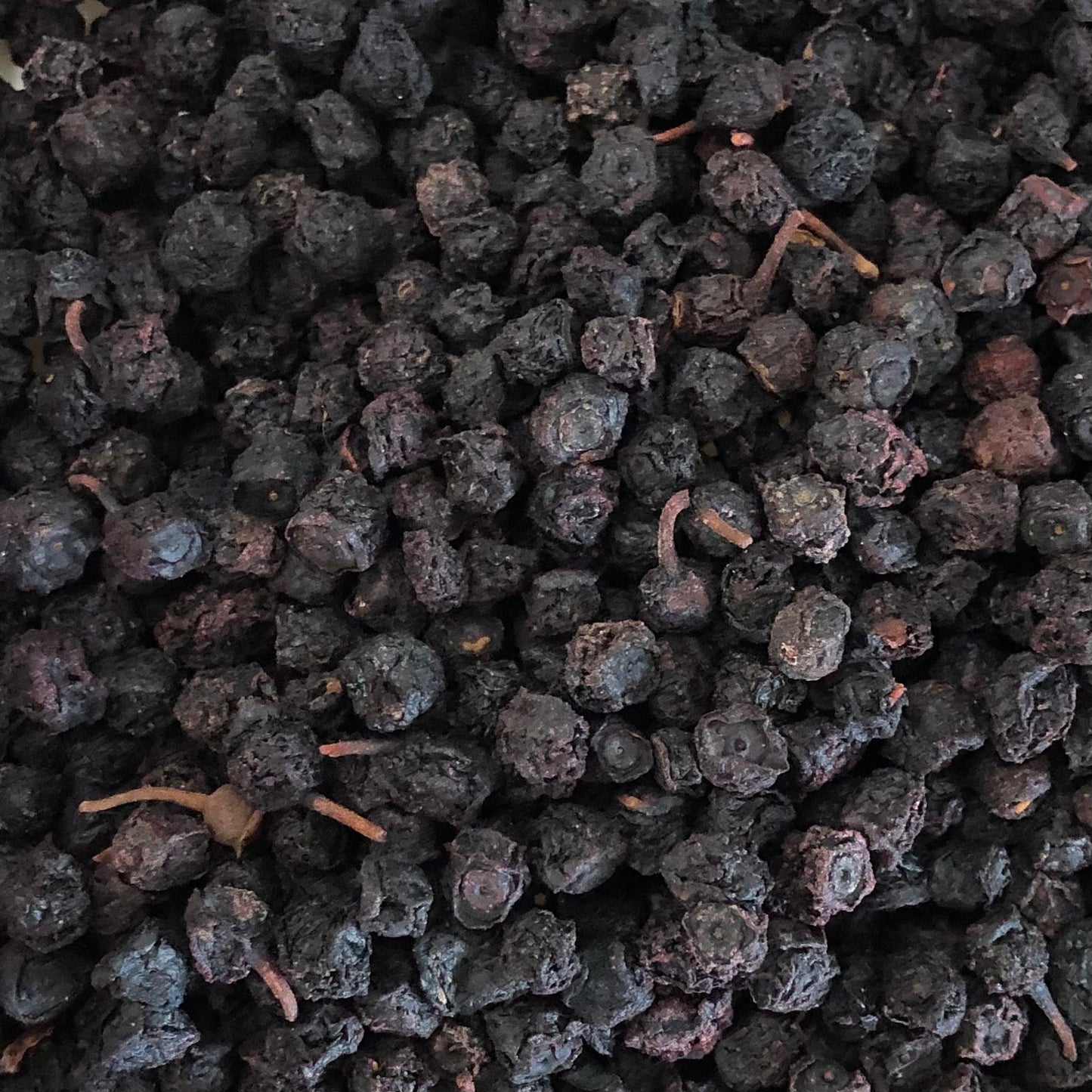 Bilberry Whole Organic by the oz.