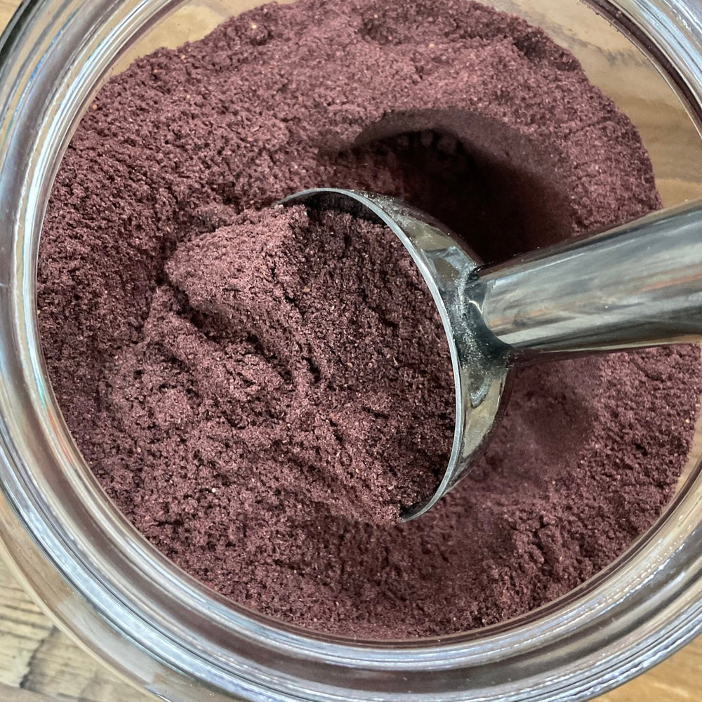 Blueberry Powder Wildcrafted by the oz.