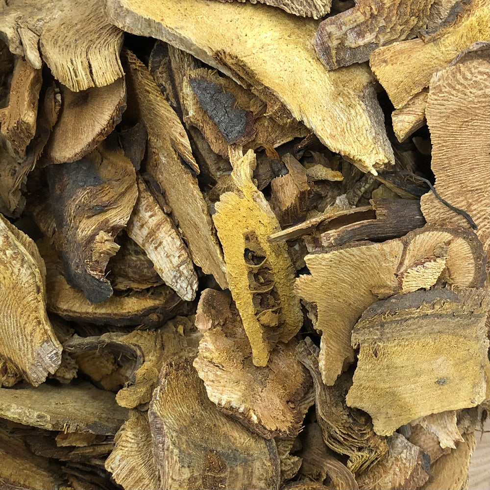 
                  
                    Japanese Knotweed (Hu Zhang) Organic 1oz
                  
                