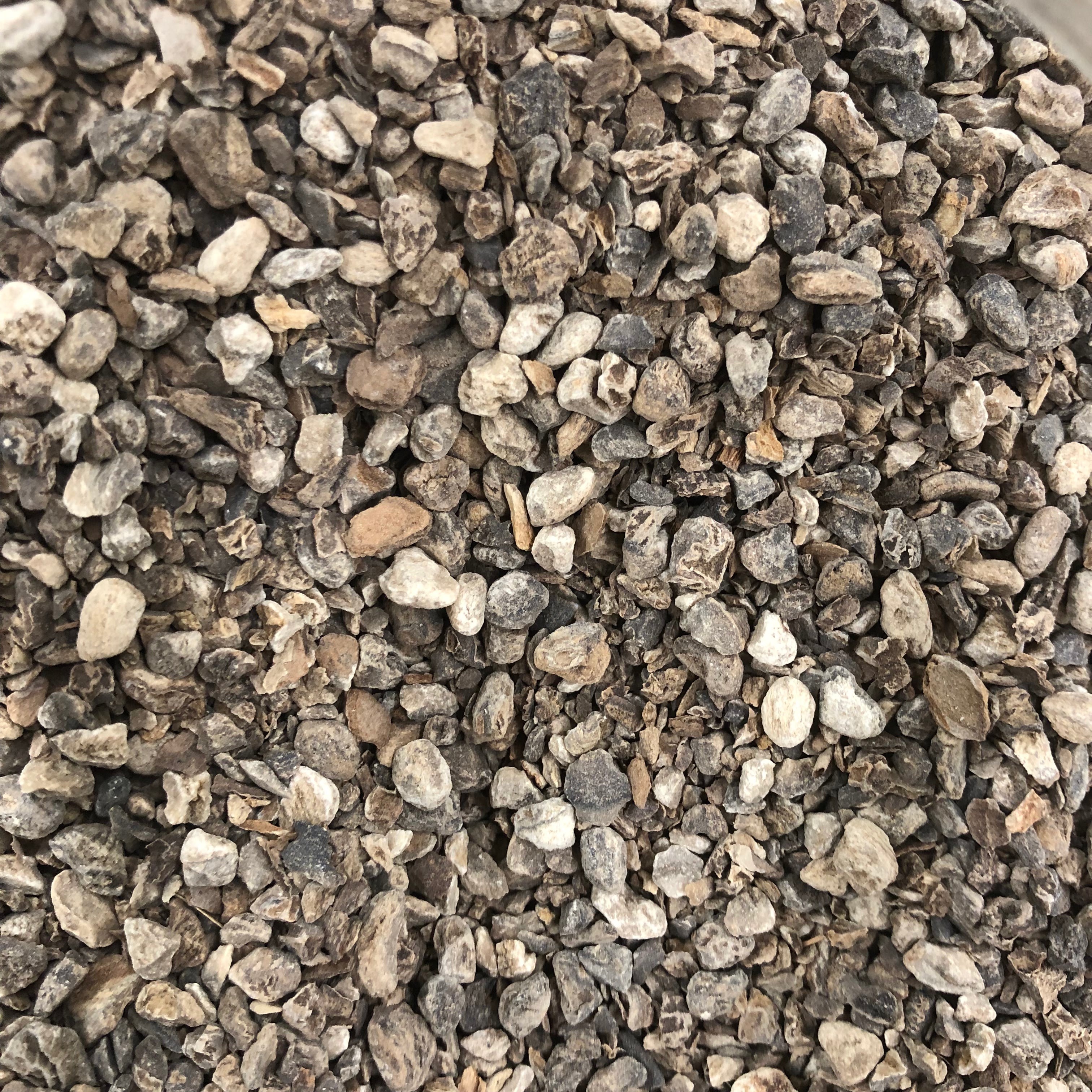 Devil's Claw Root Wildcrafted – Rosemary's Garden