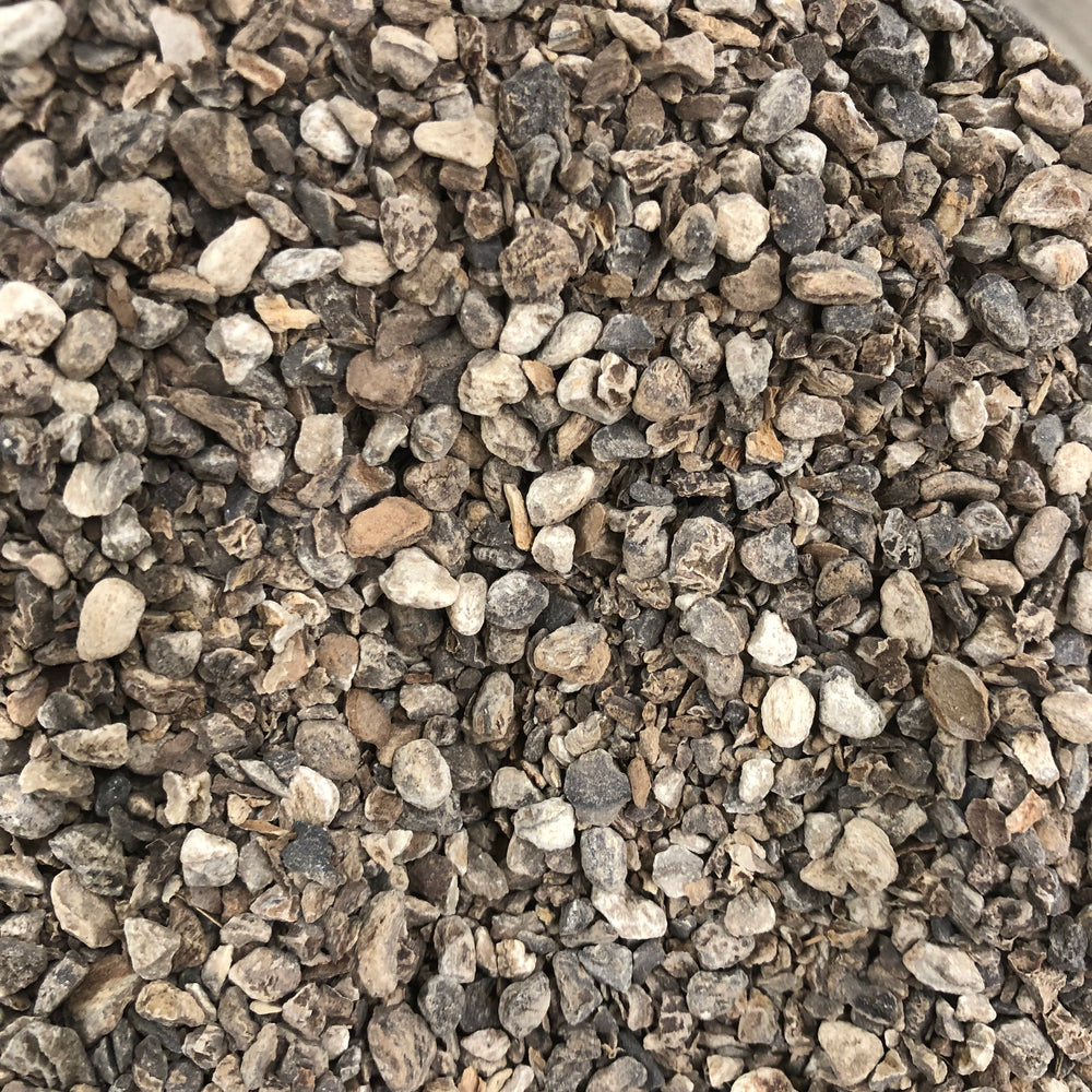 Devil's Claw Root Organic 1oz