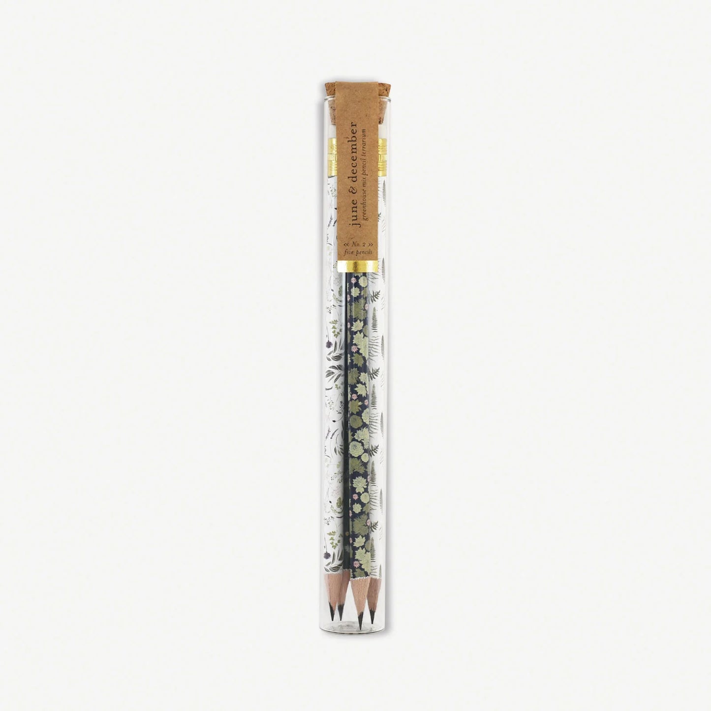 Pencil Terrarium - Greenhouse Mix