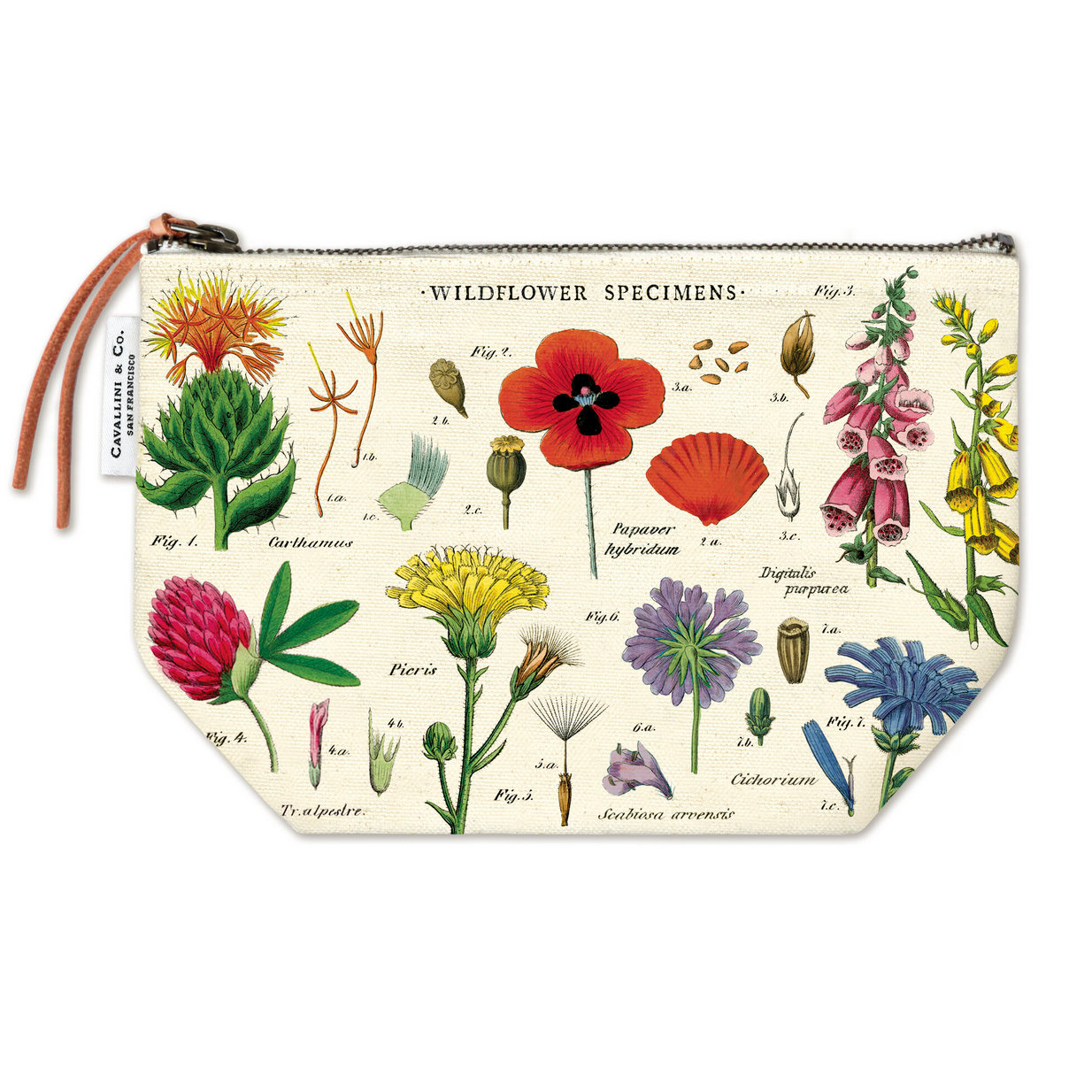 Pouch Wildflowers
