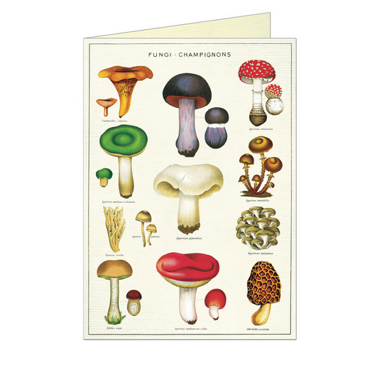 Card Mushrooms