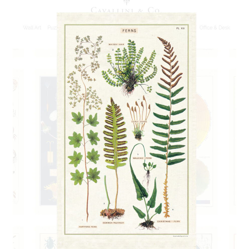 Tea Towel Ferns