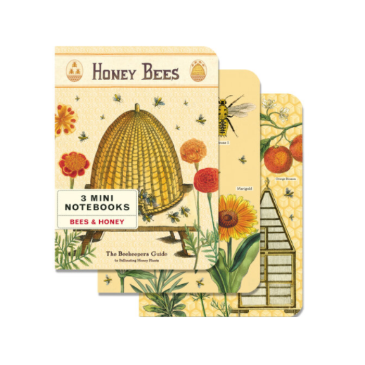 
                  
                    Notebooks / Set of 3
                  
                