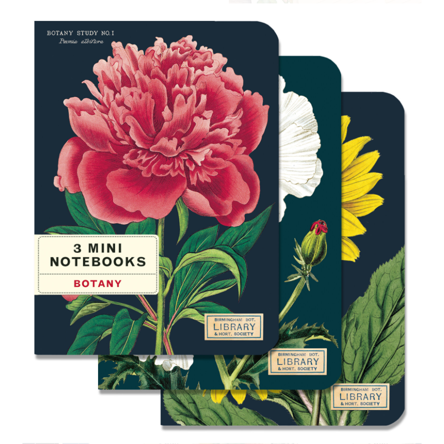 
                  
                    Notebooks / Set of 3
                  
                
