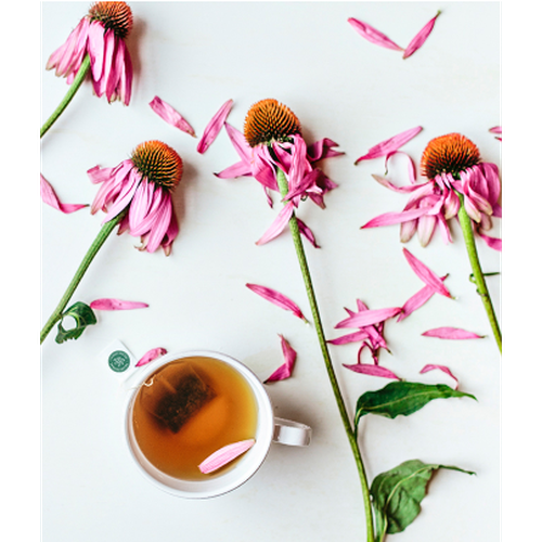 TM Echinacea+ Elderberry