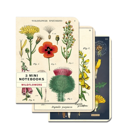 
                  
                    Notebooks / Set of 3
                  
                