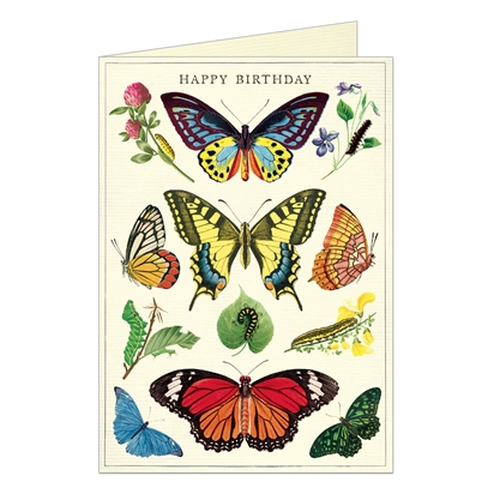 Card Happy Birthday Butterflies