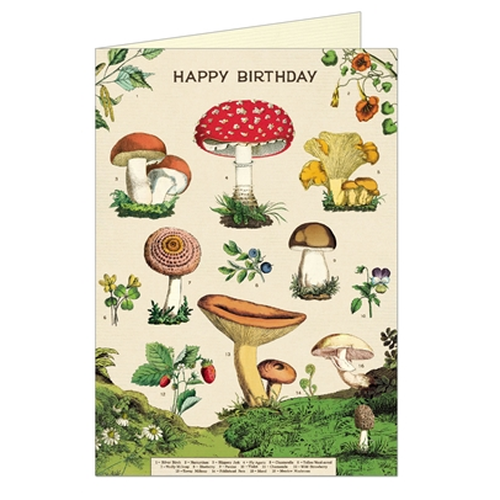 Card Happy Birthday Mushroom