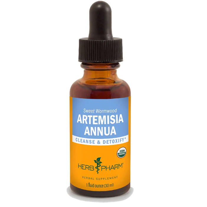 Artemisia Annua 1 fl.oz.