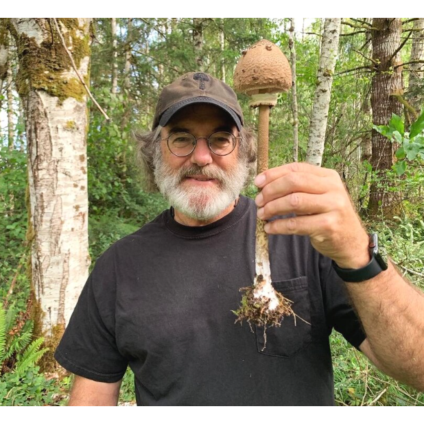 Mushrooms - Mycelium Running by Paul Stamets