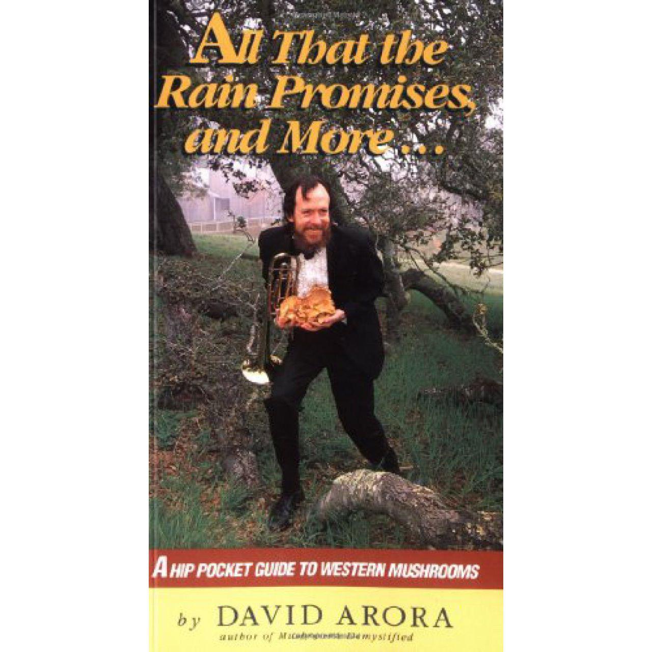 All That The Rain Promises By David Arora