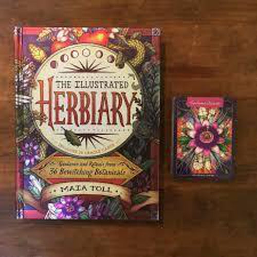 
                  
                    The Illustrated Herbiary By Maia Toll
                  
                