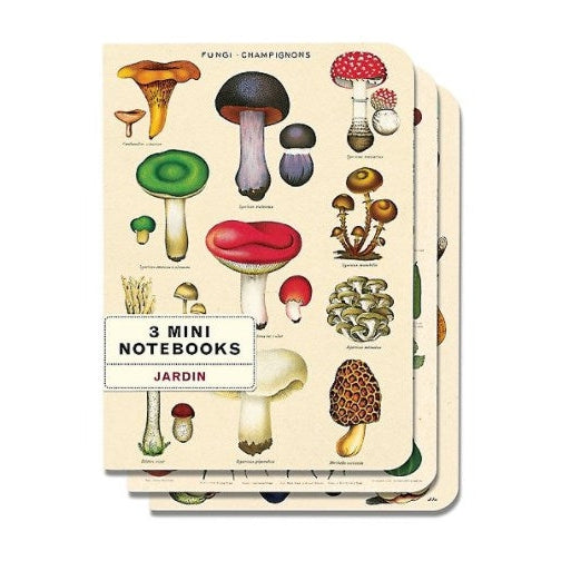
                  
                    Notebooks / Set of 3
                  
                