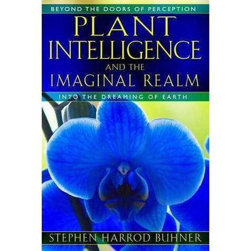 Plant Intelligence and The Imaginary Realm