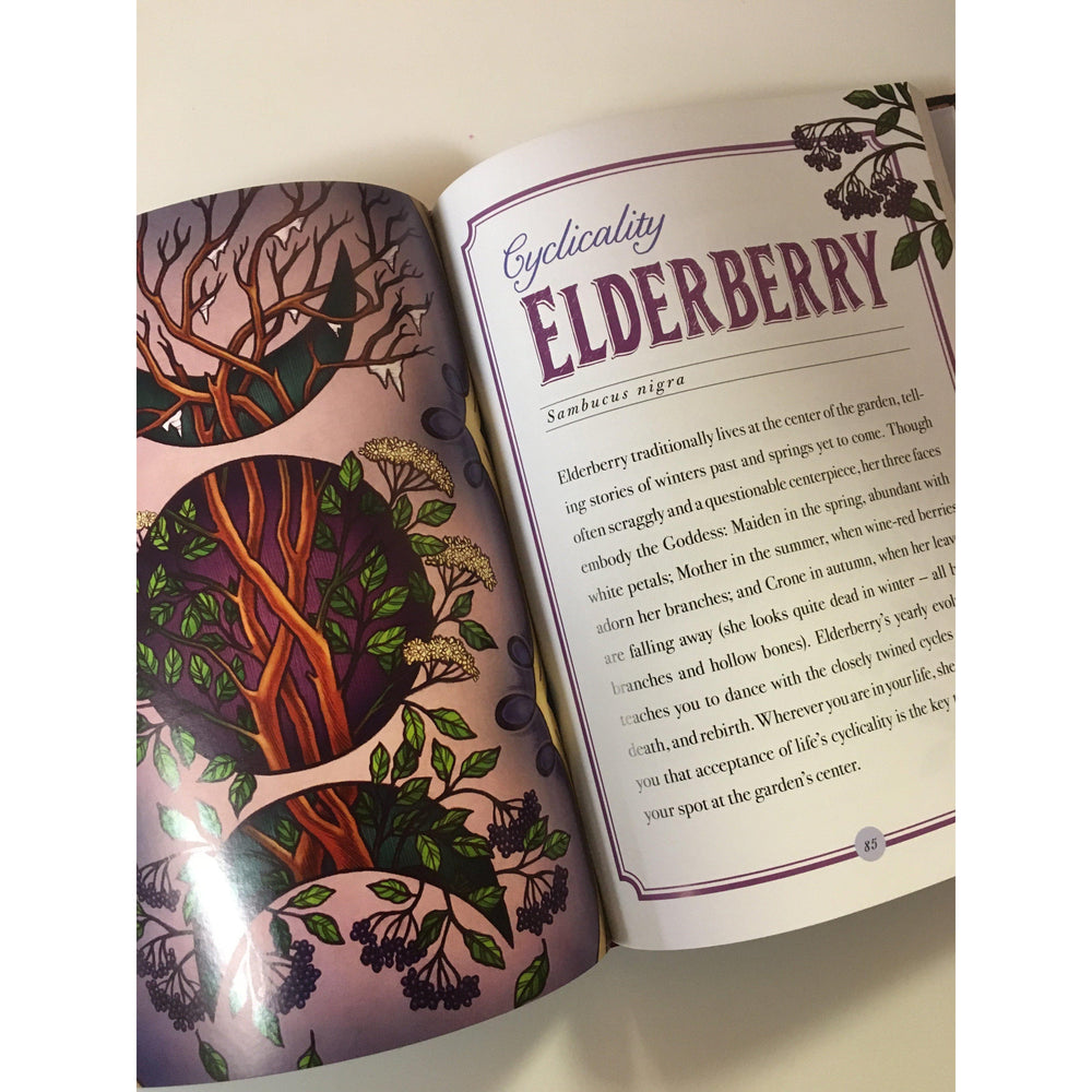 
                  
                    Herbal Guides - The Illustrated Herbiary By Maia Toll
                  
                