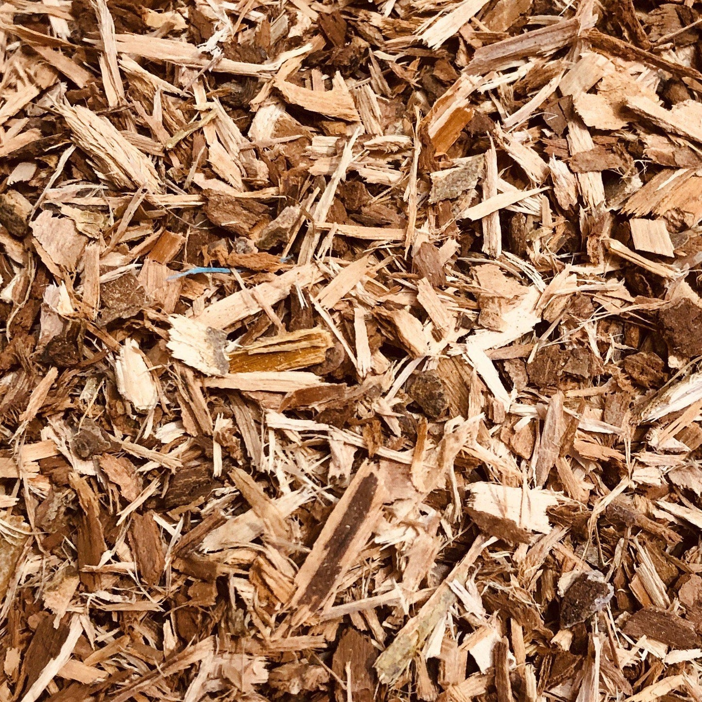
                  
                    White Willow Bark Wild 2oz
                  
                