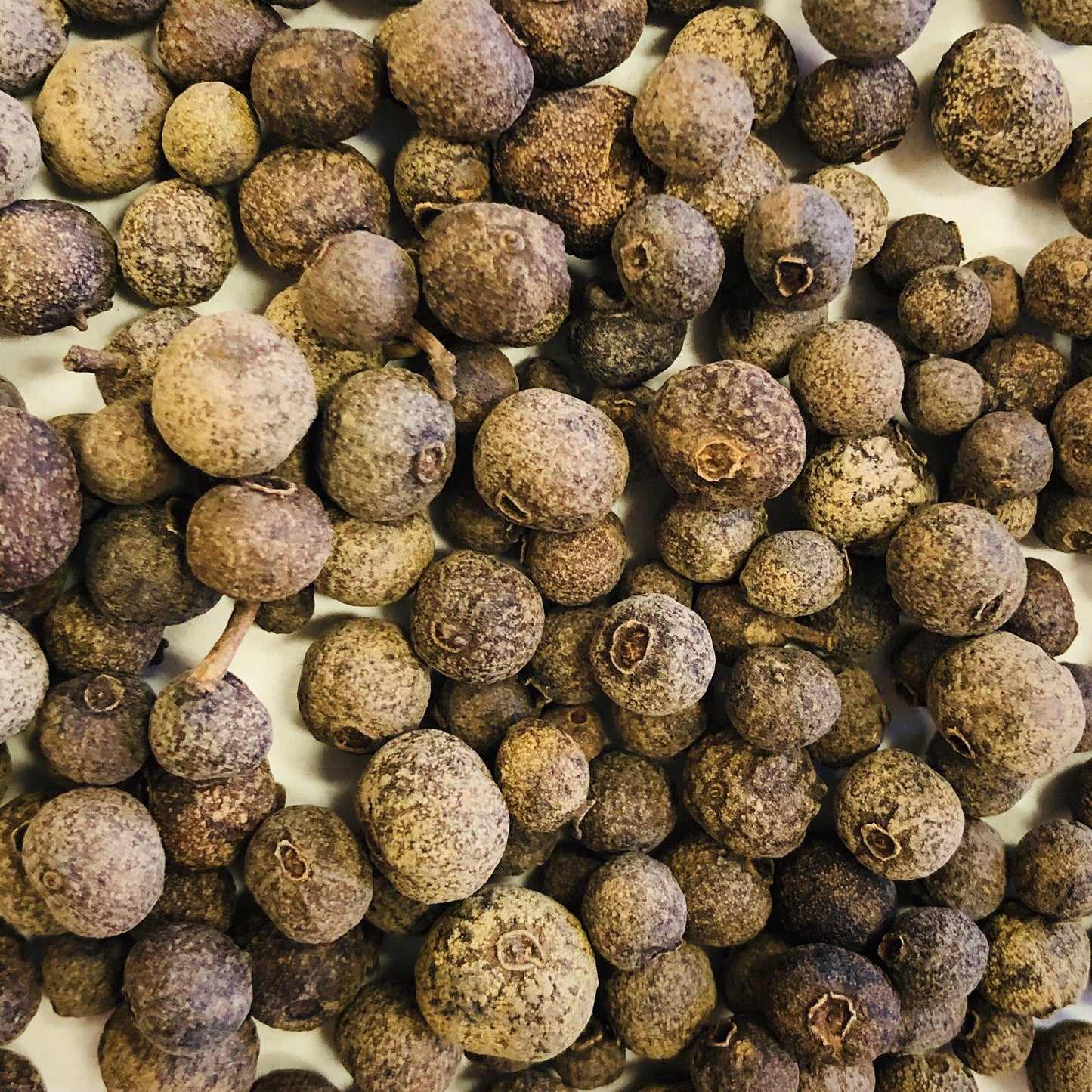 Allspice Whole Organic by the oz.