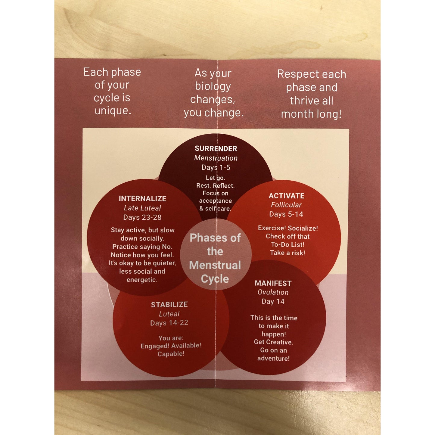 
                  
                    Cycle Balancing Multivitamin
                  
                